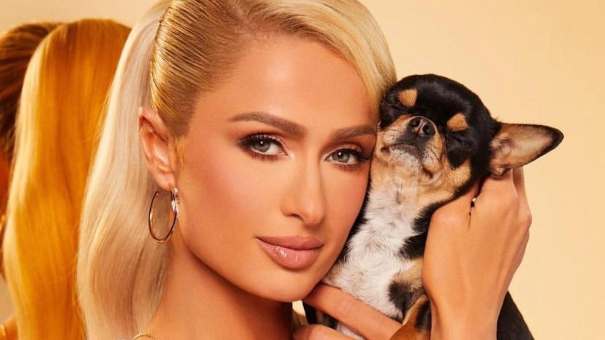 'सुबह 4 बजे टेबल पर...', एक्ट्रेस के साथ स्कूल में स्टाफ करता था दुष्कर्म, किया खुलासा