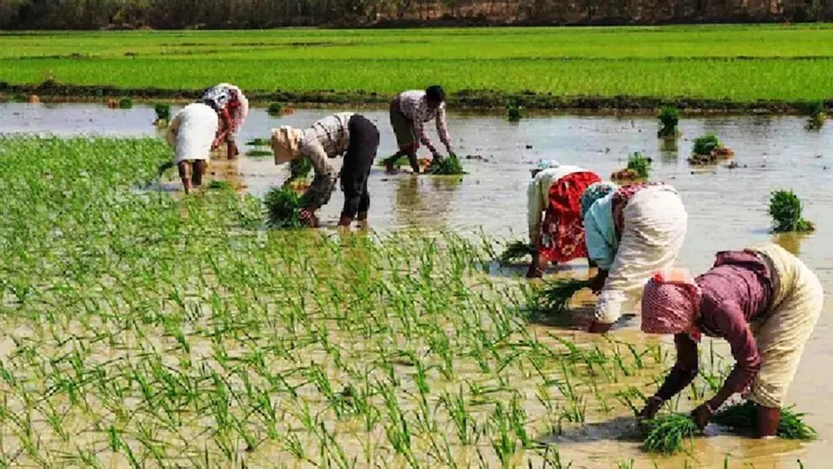 PM Kisan Yojana 12th Installment