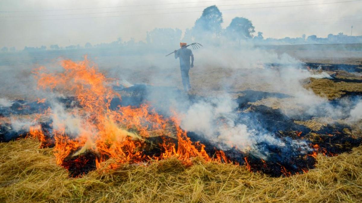 Delhi Pollution: दिल्ली-NCR में और जहरीली होगी हवा, वैज्ञानिकों ने दी ये चेतावनी