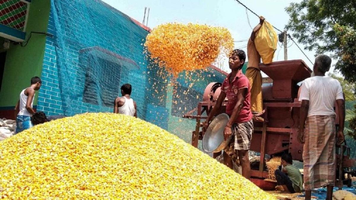 Rabi Crops MSP Increases