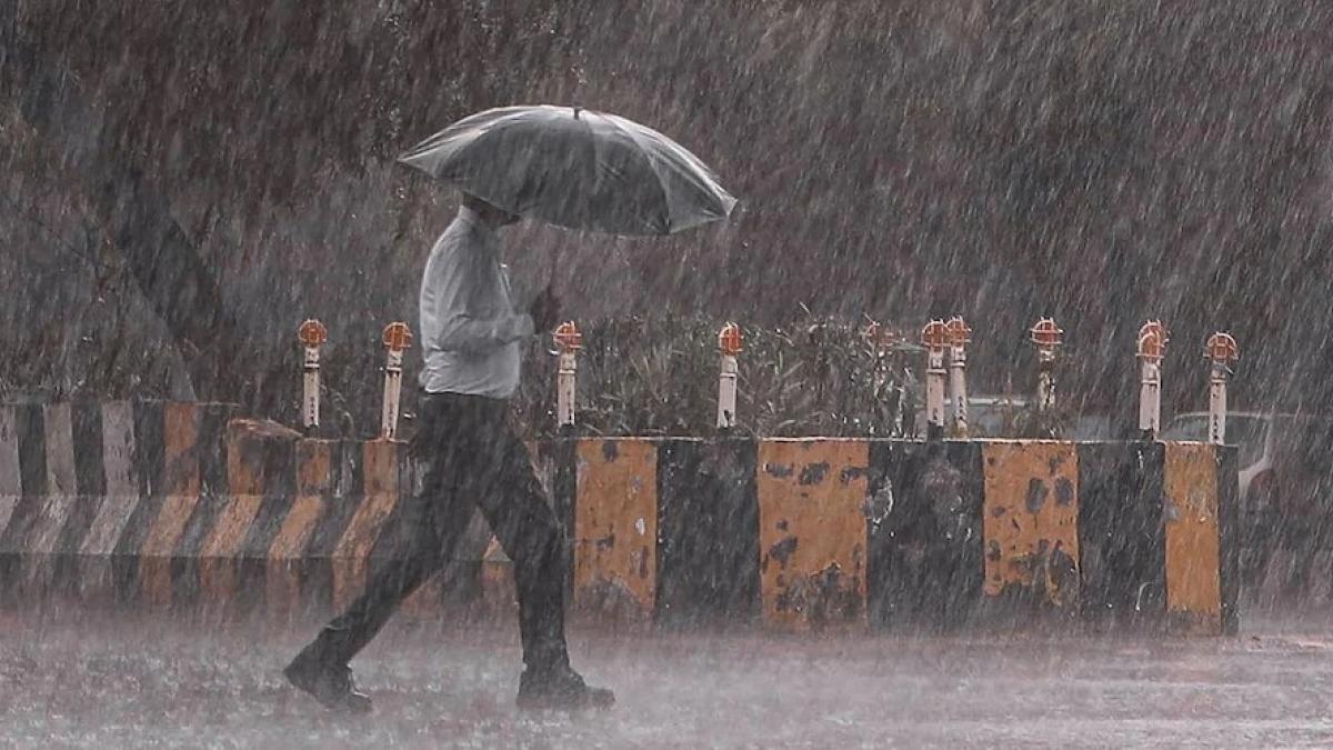 Rainfall Alert Today: वेस्टर्न डिस्टर्बेंस का असर! इन राज्यों में 4 दिन  बारिश की संभावना, जानें आज का मौसम - Weather update 17 october Rainfall  Alert in these states IMD india mausam