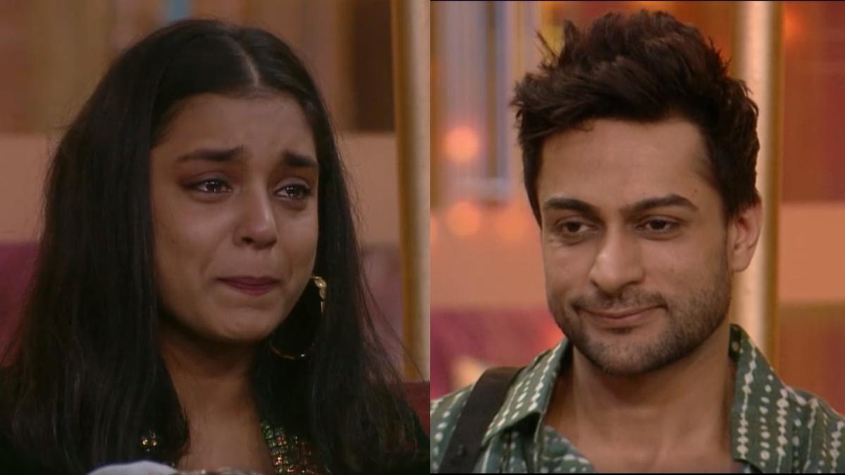 सुम्बुल तौकीर, शालीन भनोट