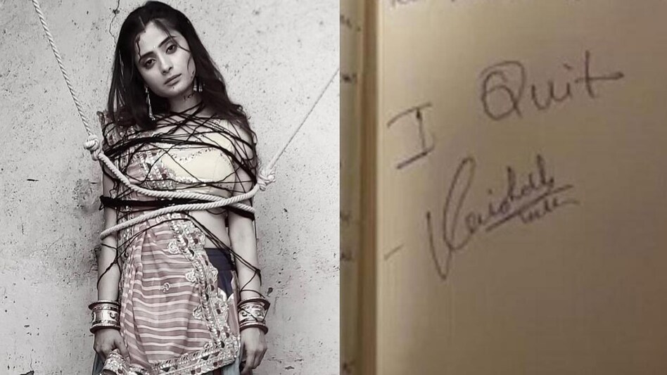 Vaishali Takkar Suicide Case: चेहरे पर हंसी, दिल में दर्द, मौत से पहले  वैशाली ने लिखी डायरी, खुल रहे सारे राज - vaishali takkar suicide case  updates timeline rahul navlani marriage family