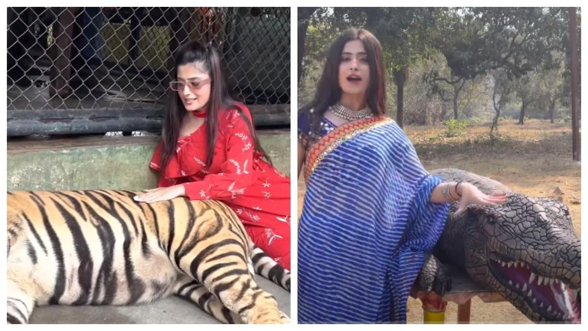 वैशाली ठक्कर