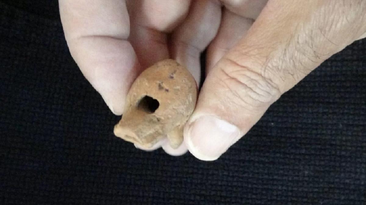 बच्चे की कब्र में निकली दो हजार साल पुरानी सीटी, जिसने भी देखी... Two