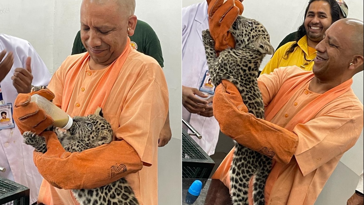 भवानी और चंडी को दूध पिलाते सीएम योगी