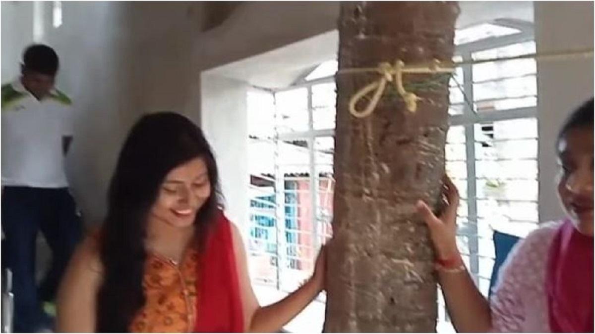 35 साल पहले लगाया था पेड़.