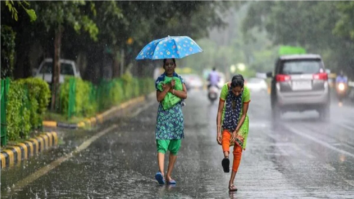 IMD Rainfall Alert (Representational Image)