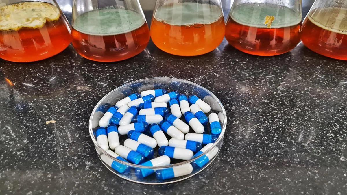 Bio decomposer capsule