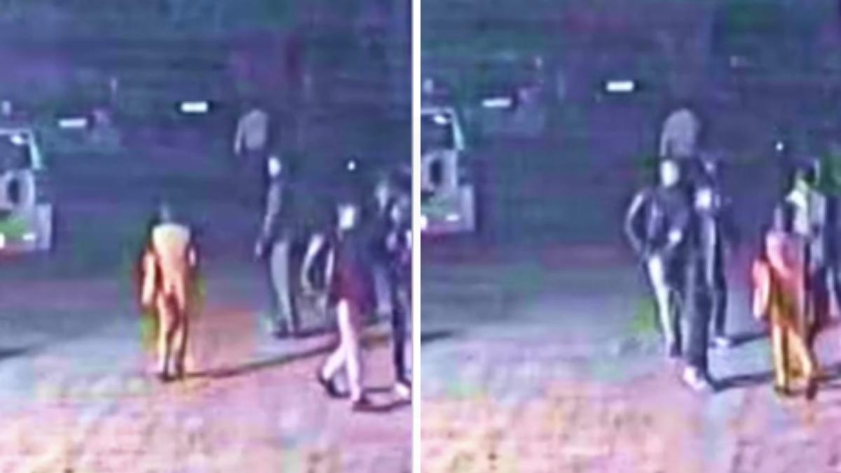 CCTV फुटेज में दिख रहा चोर