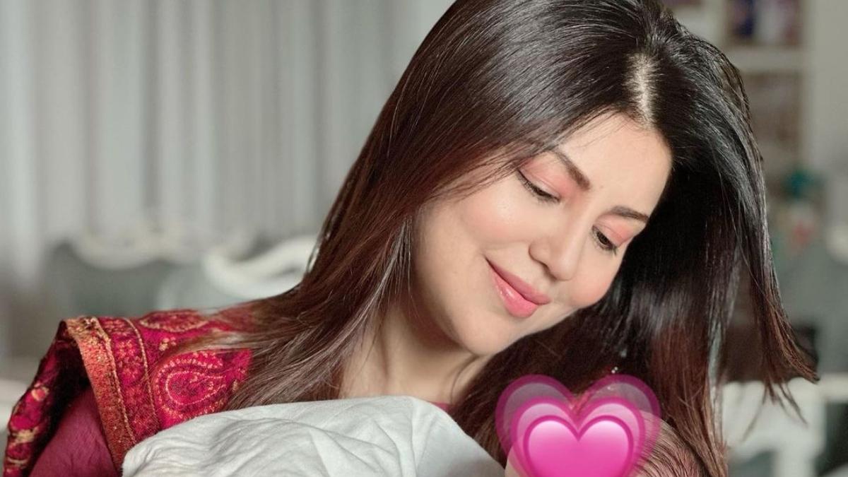 Debina Bonnerjee ने शेयर की बेटी की पहली फोटो, लिखा इमोशनल नोट, 'तुम मेरा आखिरी बच्चा होगी'