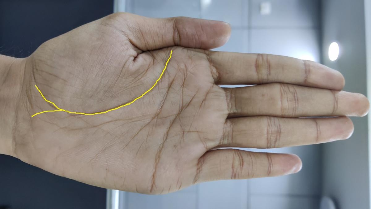 आपके भविष्य और व्यवहार के बारे में क्या कहता है हथेली पर बना Y का निशान?