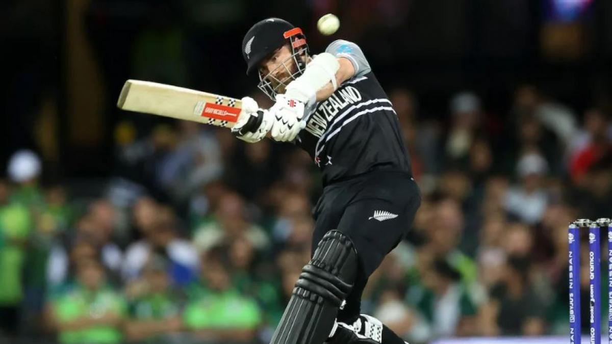 NZ vs PAK Semifinal T20 WC: 'मैं उन्हें पसंद करता हूं लेकिन...', धीमी बैटिंग के चलते ट्रोल हुए केन विलियमसन