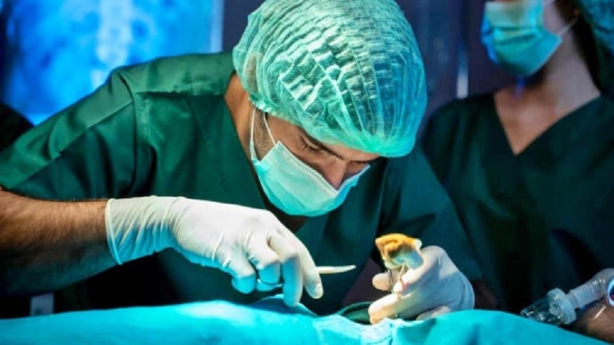 प्रतीकात्मक तस्वीर