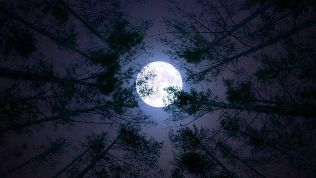 जानें, साल के आखिरी चंद्र ग्रहण का जॉब, बिजनेस पर होगा कैसा असर (Photo: Getty Images)