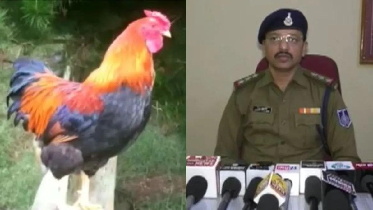 मुर्गे की बांग से परेशान होकर डॉक्टर ने पुलिस में की शिकायत.