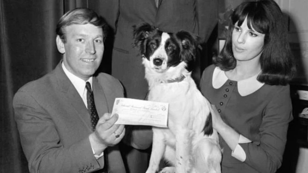 ट्रॉफी ढूंढने के बाद हीरो बन गया था पिकल्स (Photo: Getty)