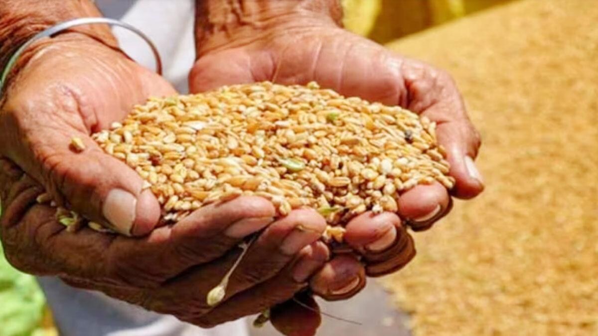 Bhopal: राशन घोटाले में 15 सस्पेंड, जांच करने वाले भी कई अधिकारी नपे - Corruption ration scam 15 officers Suspended investigation food department Bhopal Madhya Pradesh lclar - AajTak