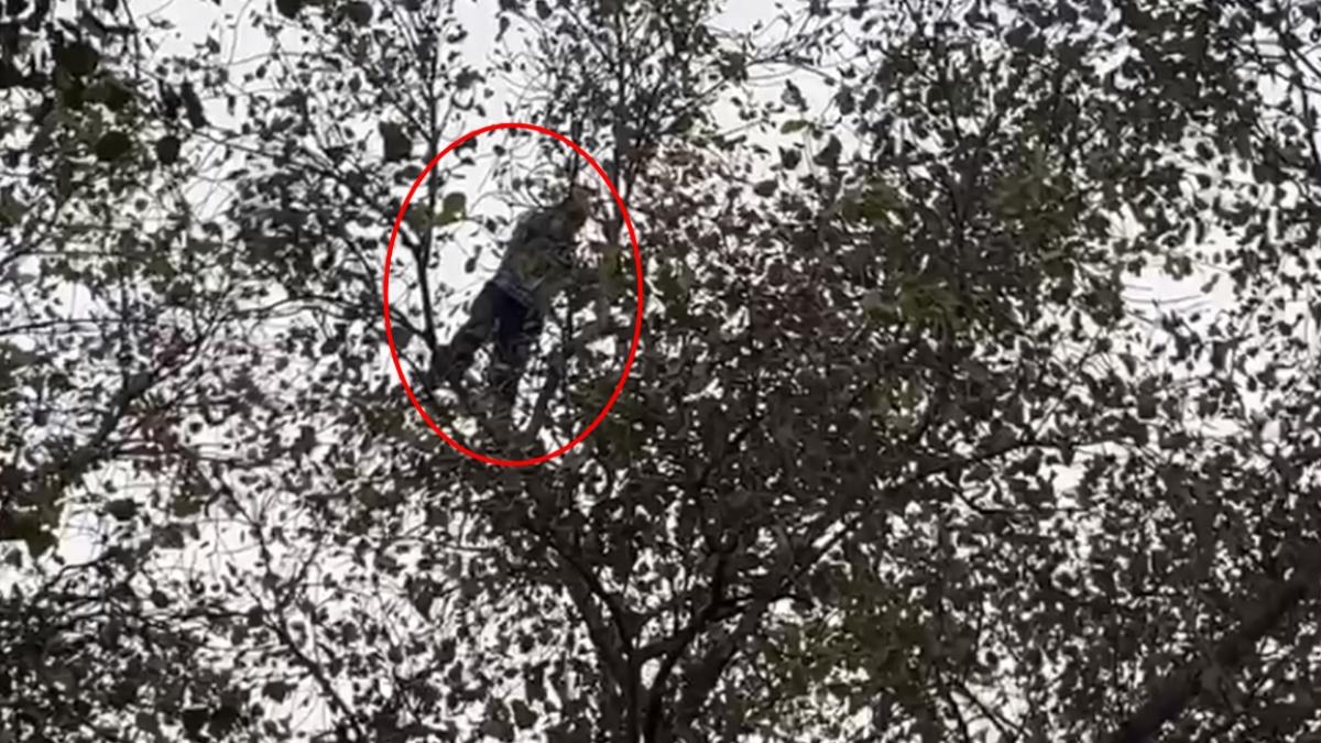 पुलिस और फायर ब्रिगेड ने नीचे जाल लगाया था, लेकिन फिर भी नेपाली शख्स को नहीं बचा सके.