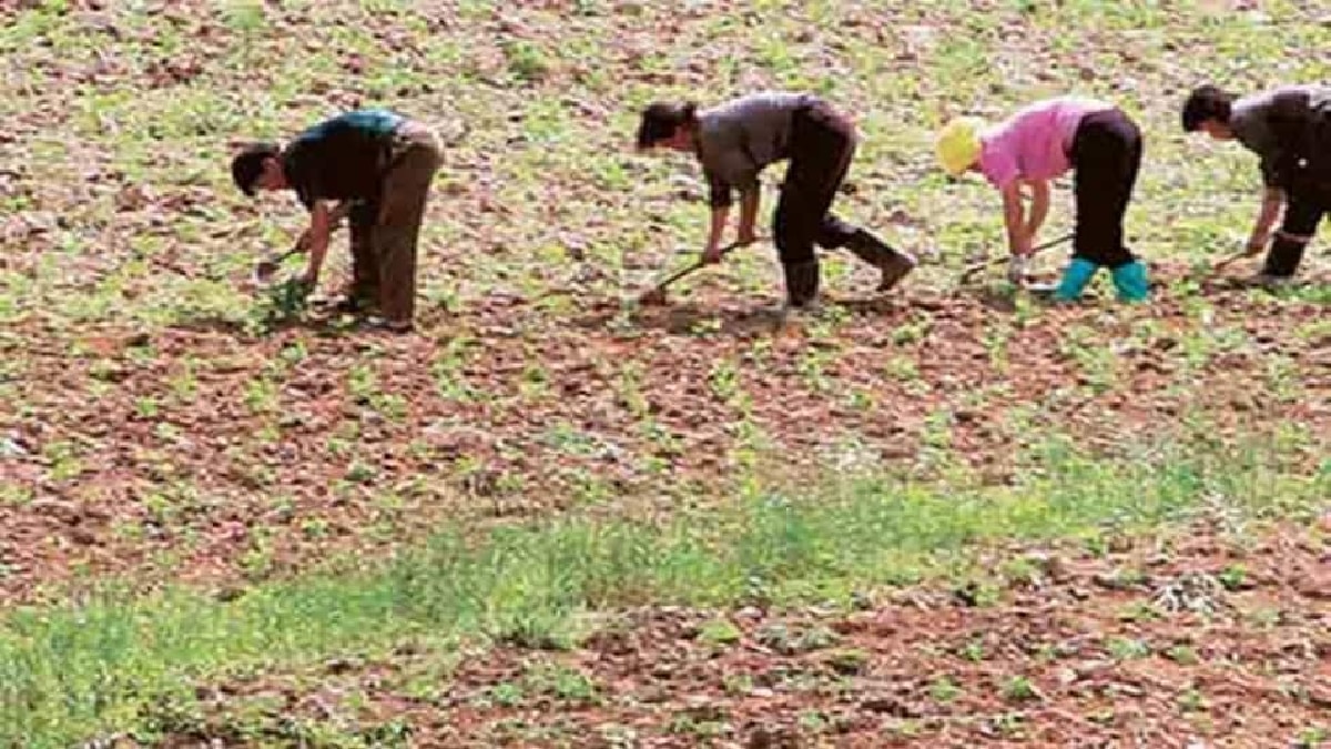 सांकेतिक फोटो