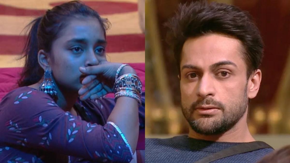 सुम्बुल तौकीर, शालीन भनोट