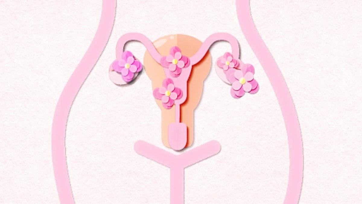 Bihar: कम उम्र की 7 महिलाओं के निकाले यूट्रस, अवैध कारोबार का भंडाफोड़