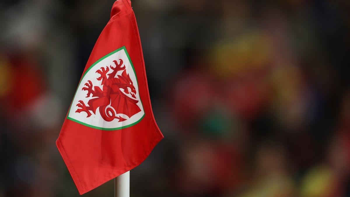 वेल्स के एक फैन की हुई मौत (फाइल फोटो)