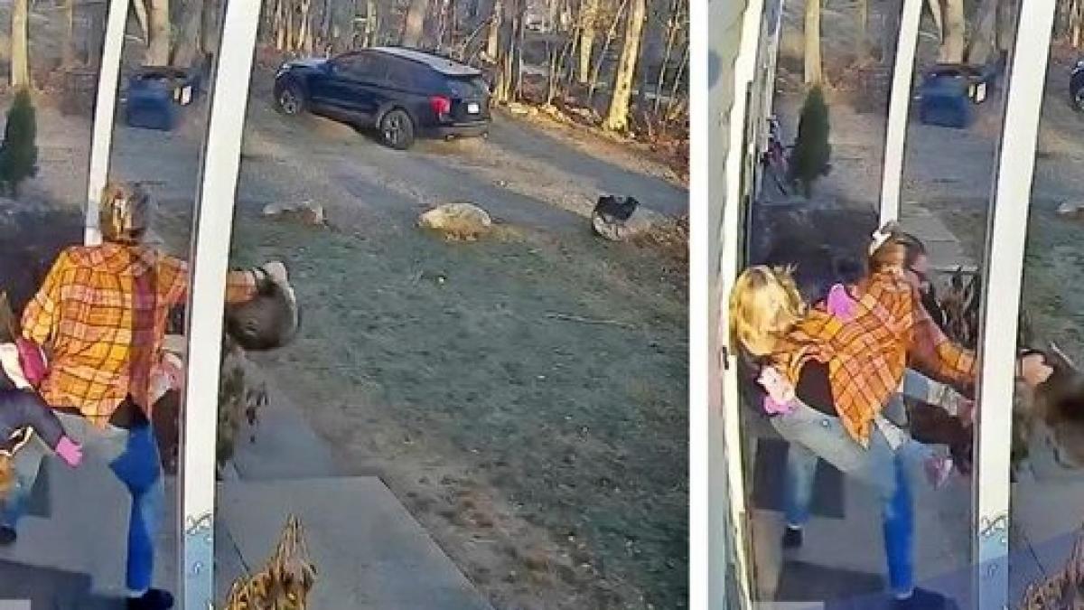 जंगली जानवर के हमले से बेटी को बचाती को मां (फोटो- ट्विटर) 