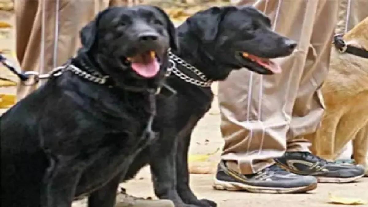 (प्रतीकात्मक तस्वीर)