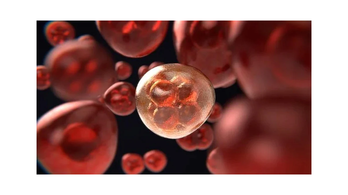 सांकेतिक तस्वीर