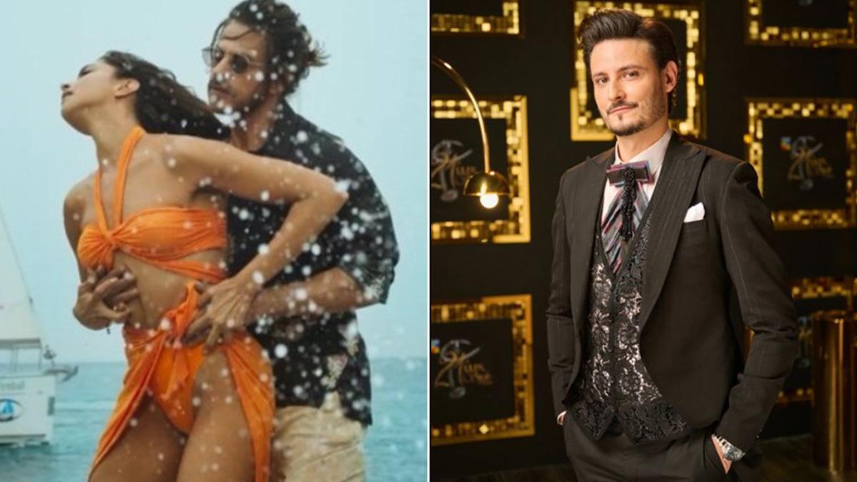 Besharam Rang:  जगजीत सिंह के गाने से कॉपी है 'बेशर्म रंग'? Pak एक्टर ने उठाए सवाल, गाना सुनकर क्यों हुए नाराज?