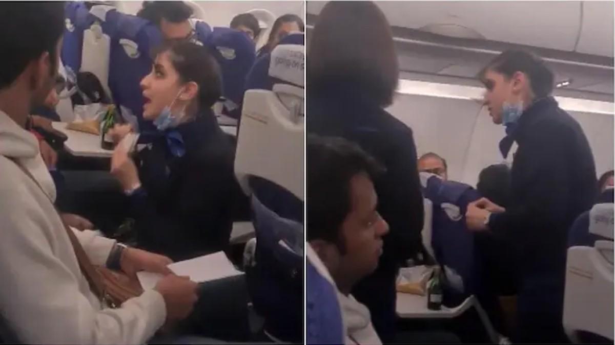 'कर्मचारी हूं, आपकी नौकर नहीं', इंडिगो की फ्लाइट में एयर होस्टेस और यात्री के बीच तीखी बहस, वीडियो वायरल