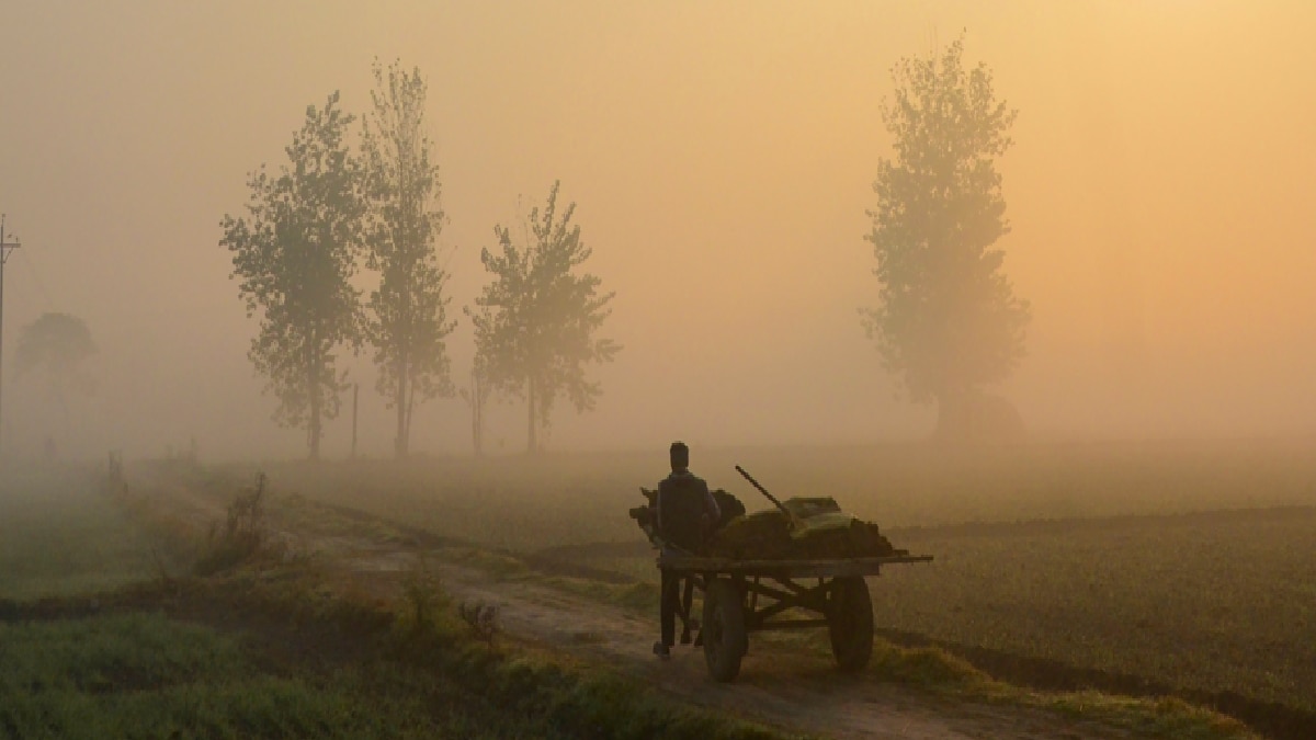 Weather Update: पंजाब, हरियाणा और राजस्थान में आज कोल्ड डे, UP में घना कोहरा, जानें अन्य राज्यों के मौसम का हाल