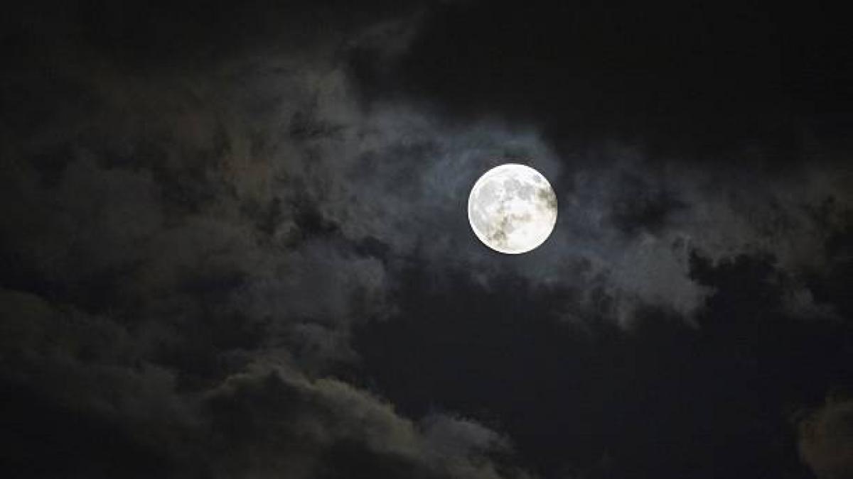 Paush Amavasya 2022: साल की आखिरी अमावस्या आज, जानें शुभ मुहूर्त और पूजन विधि