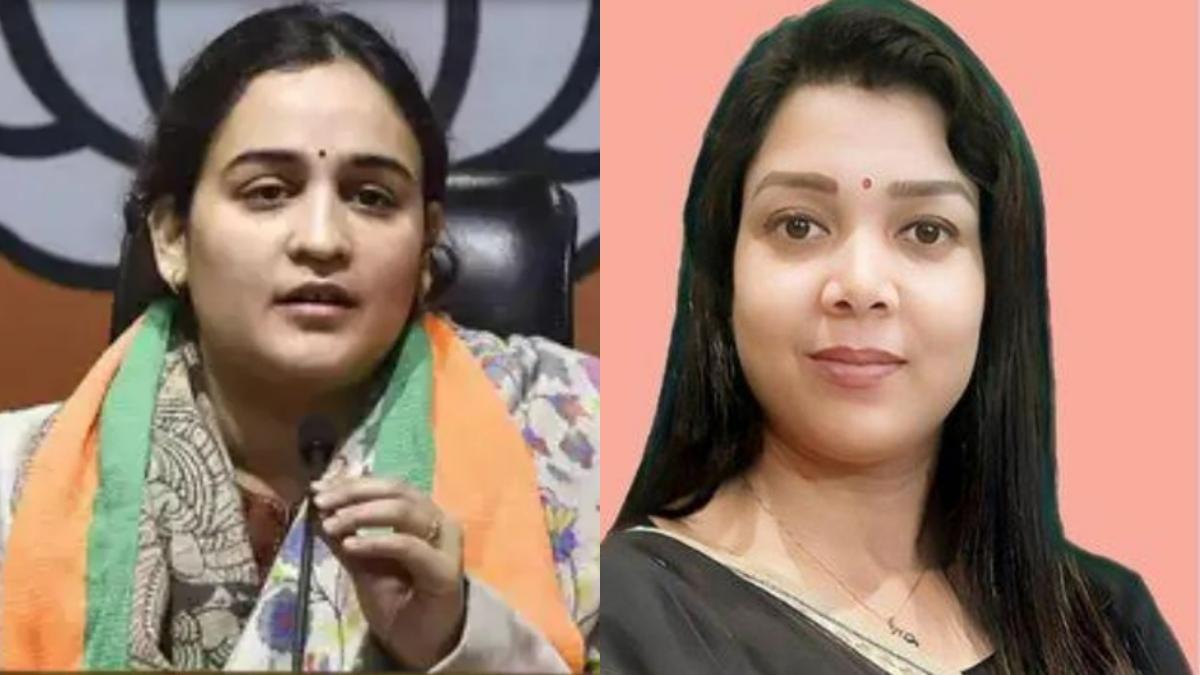 मेयर की रेस में कई नाम शामील