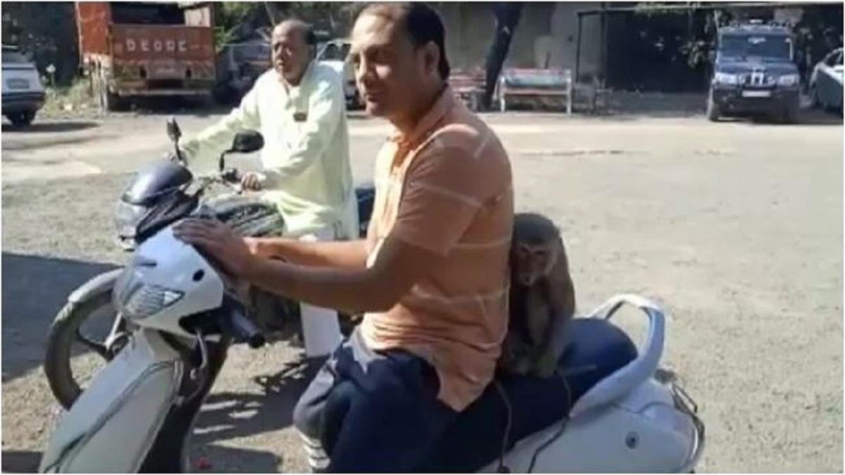 बंदर को थाने लेकर पहुंचा शख्स.