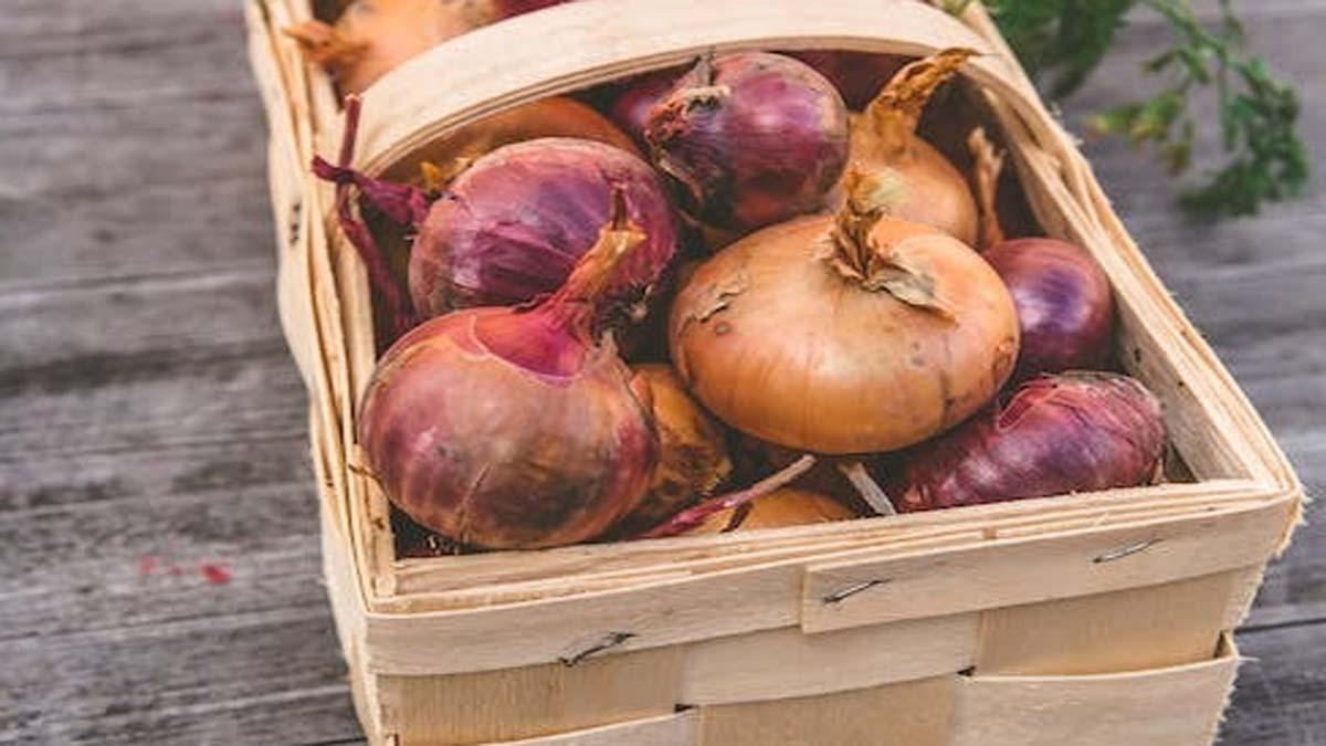 Onions (Photo-Pexels)