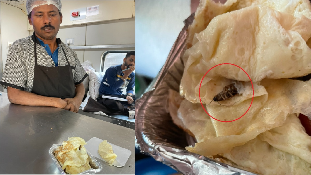 रेल यात्री के खाने में मिला कॉकरोच, IRCTC ने रेलवे को ठहराया जिम्मेदार!