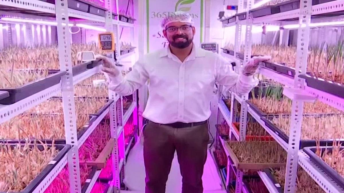 Saffron Cultivation: सॉफ्टवेयर इंजीनियर का अजब-गजब कारनामा, बिना मिट्टी के ही उगा डाली केसर की फसल