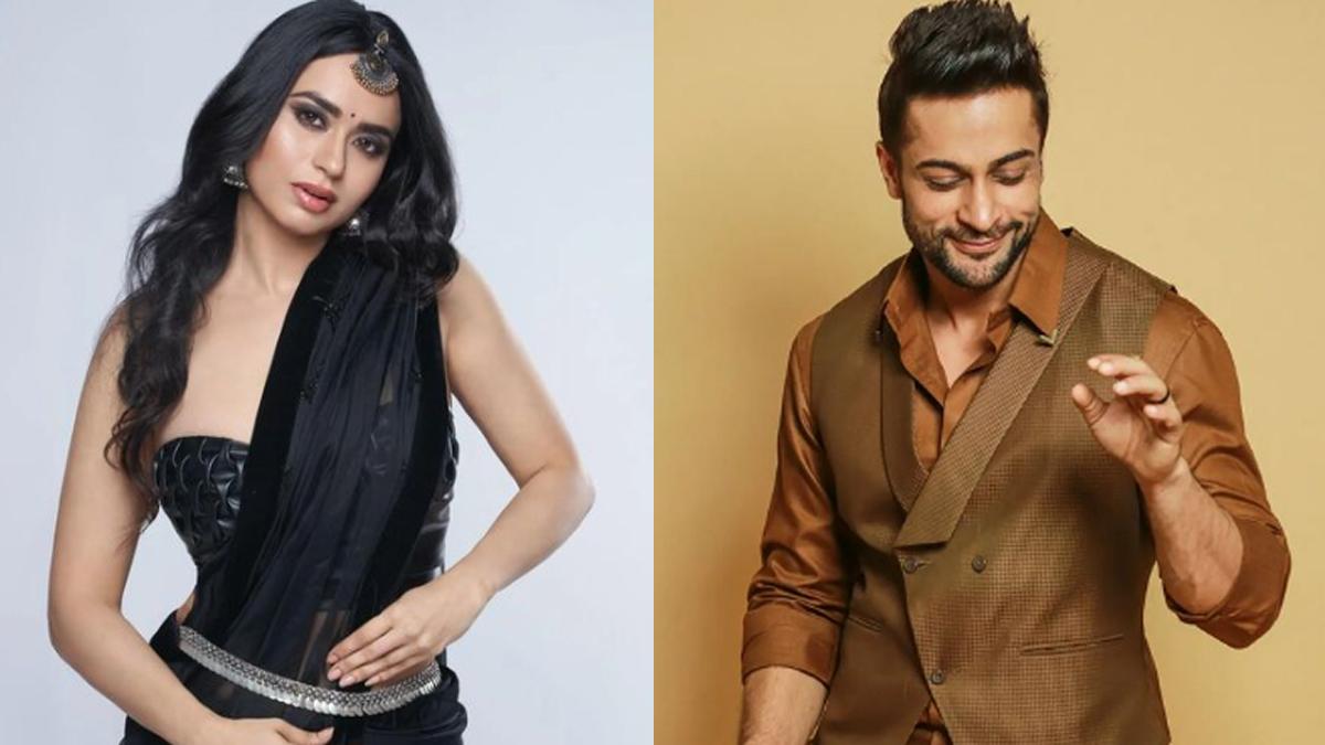 सौंदर्या शर्मा और शालीन