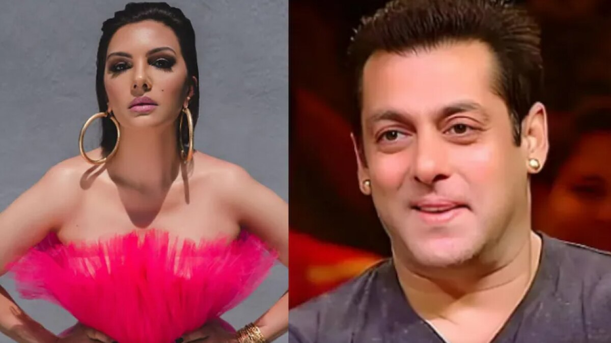 'सिगरेट से जलाया- सालों तक की मारपीट', Salman Khan पर Ex गर्लफ्रेंड ने लगाए गंभीर आरोप