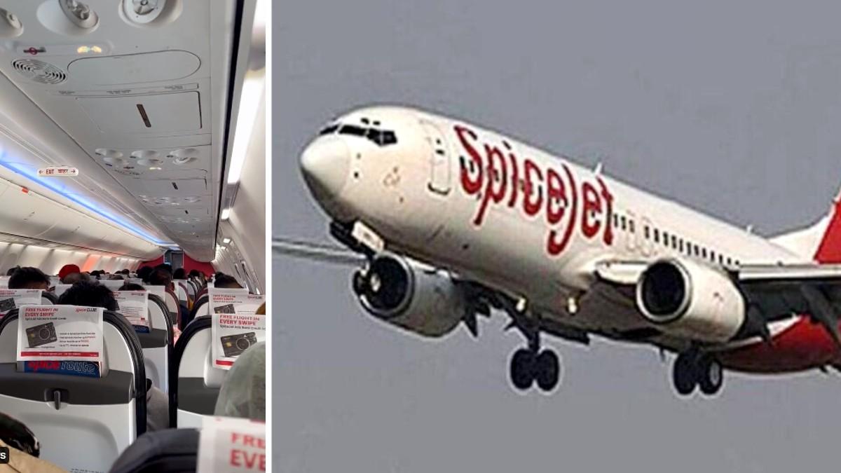 सोशल मीडिया पर वायरल हुआ वीडियो. 