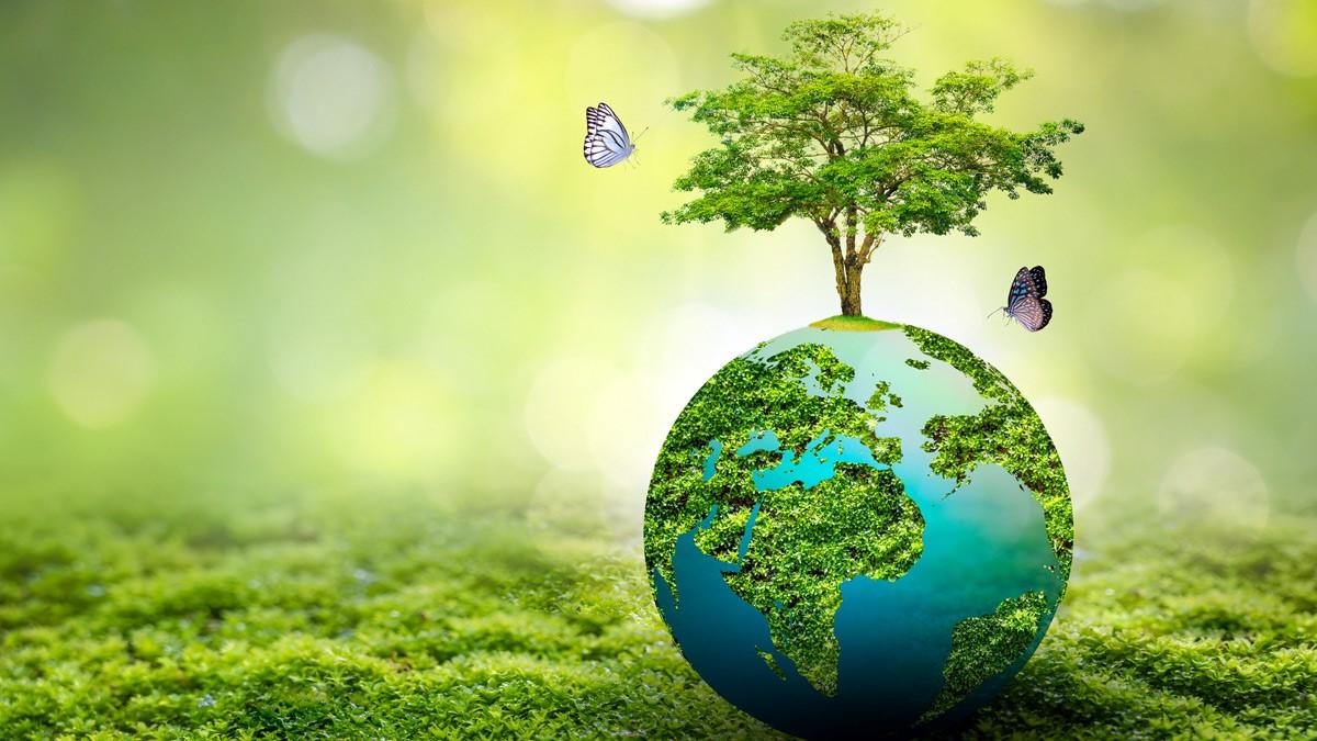 प्रतीकात्मक फोटो (Getty)