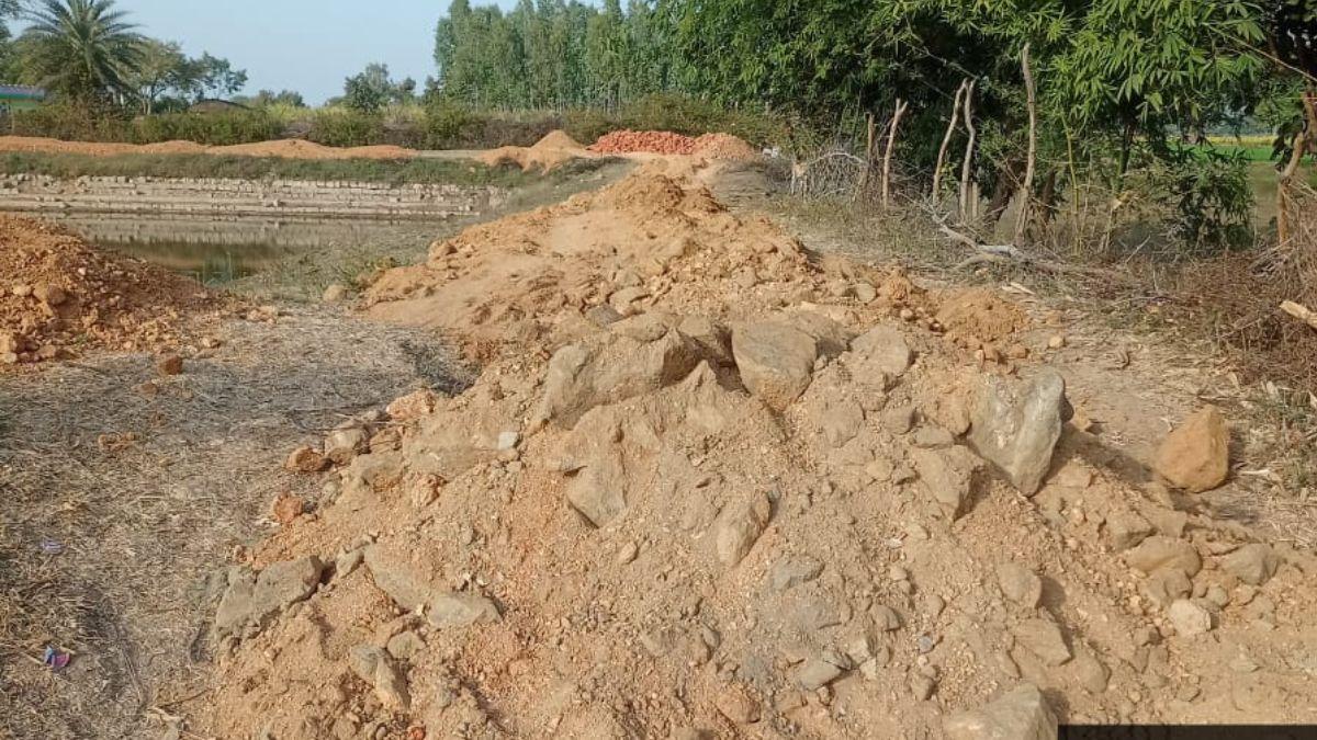 वन विभाग के पौधे उखाड़कर प्रधान ने बनवा दी रोड. 