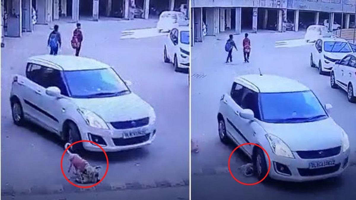 सोशल मीडिया पर वायरल हुआ वीडियो,