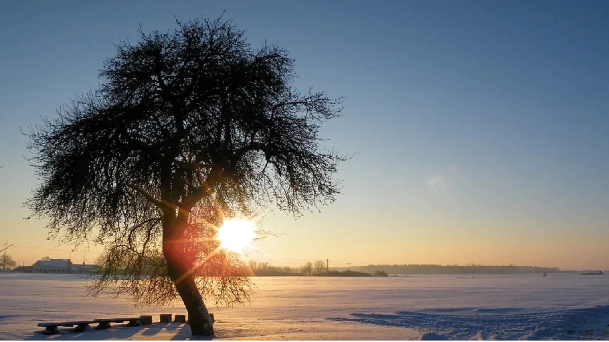 Winter Solstice (Representational Image)