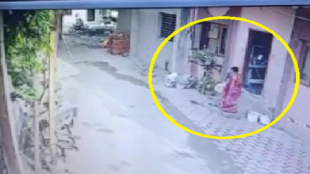 भाई की जमानत के लिए बहन ने की चोरी.