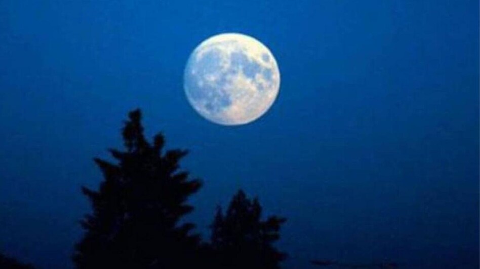 पौष पूर्णिमा 2023 उपाय