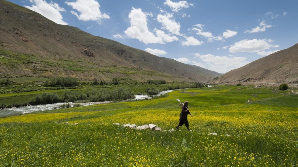 अफगानिस्तान की धरती में छिपे खरबों के खजाने पर चीन की नजर, तालिबान के साथ Oil डील के बहाने हथियाने की तैयारी