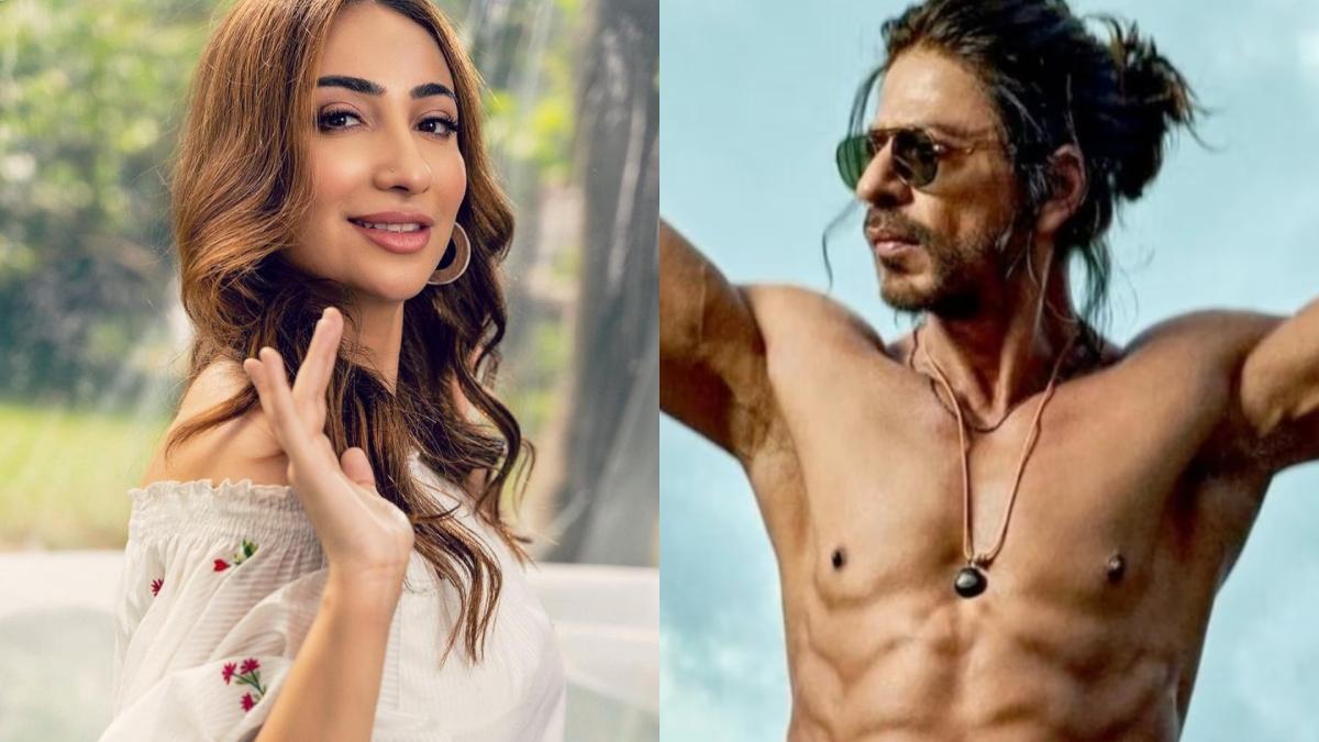 पाकिस्तानी एक्ट्रेस Anoushey Ashraf, शाहरुख खान